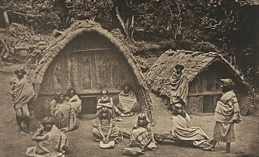 Travels amongst the Todas, or The Study of a Primitive Tribe in South India, Their History, Character, Customs, Religion, Infanticide, Polyandry, Language; with Outlines of the Tuda Grammar.