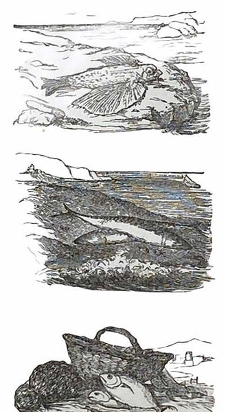 Histoire Naturelle des Oiseaux, des Reptiles et des Poissons.