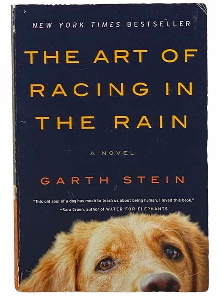 The Art of Racing in the Rain: A Novel