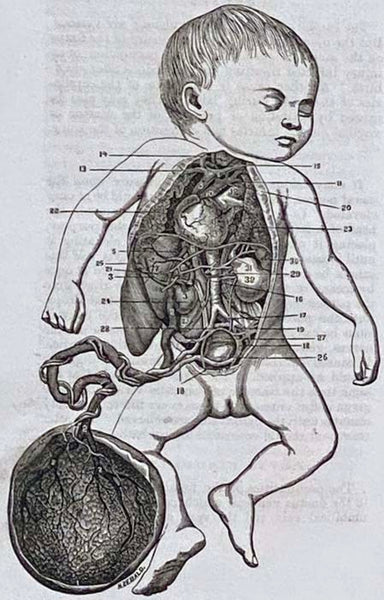 A Treatise on the Domestic Practice of Medicine, Embracing the Most Essential Diseases, Including Those of Women and Children, and Surgery, So Arranged as to Make It of Interest to Physicians, Students of Medicine, and a Domestic Practice for Families.