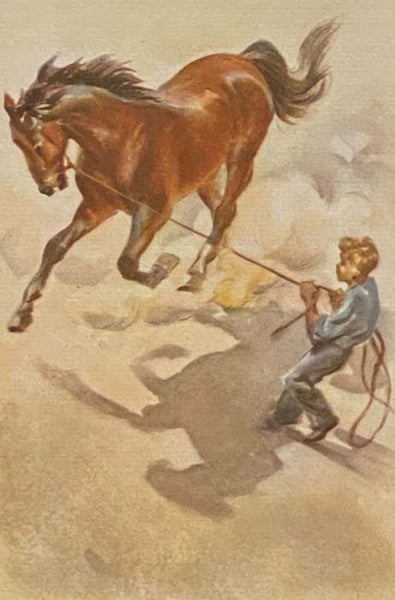 The Red Pony