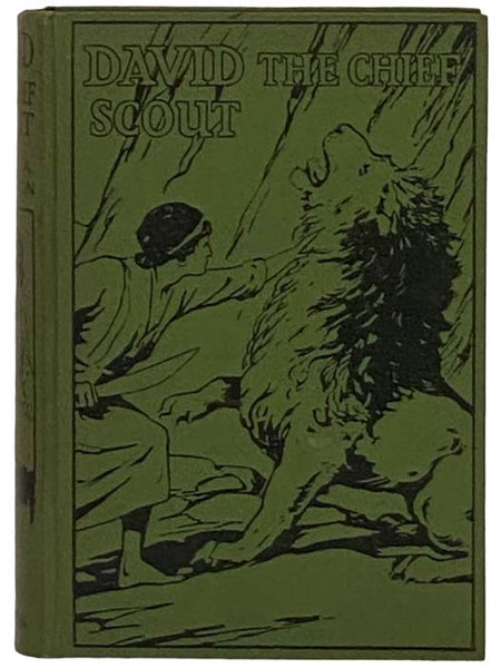 David the Chief Scout
