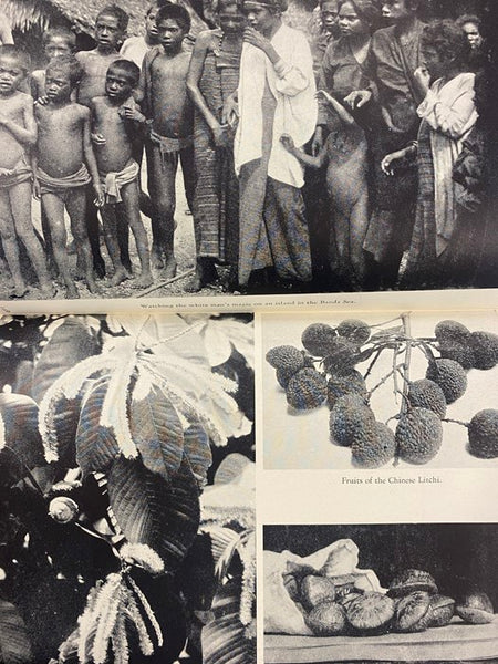 The World Was My Garden: Travels of a Plant Explorer