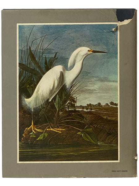 The Original Water-Color Paintings by John James Audubon for The Birds of America, in Two Volumes [Watercolor]