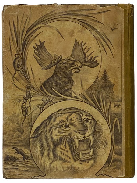 Worthington's Natural History: Being Stories and Histories of the Animal Kingdom at Home and Abroad; Also, Interesting Poems and Anecdotes, Profusely Illustrated with Nearly 500 Illustrations
