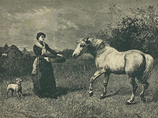 Worthington's Natural History: Being Stories and Histories of the Animal Kingdom at Home and Abroad; Also, Interesting Poems and Anecdotes, Profusely Illustrated with Nearly 500 Illustrations