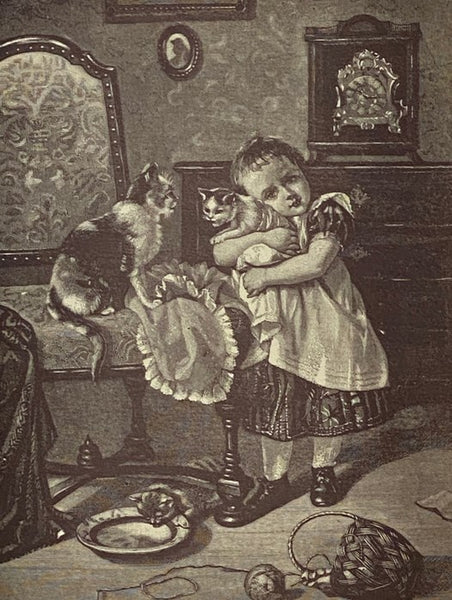 Worthington's Natural History: Being Stories and Histories of the Animal Kingdom at Home and Abroad; Also, Interesting Poems and Anecdotes, Profusely Illustrated with Nearly 500 Illustrations