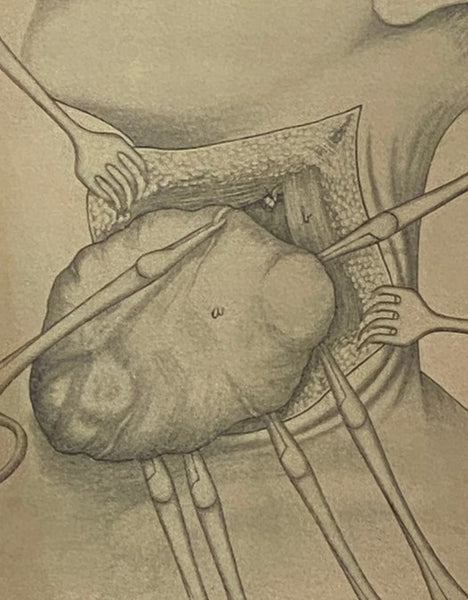 A New Clinical Surgery, Complete in One Volume
