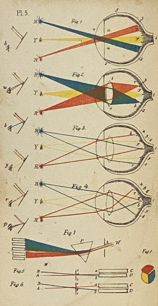 Popular Anatomy and Physiology, Adapted to the Use of Students and General Readers