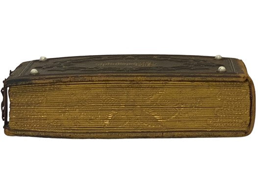 19th Century Photograph Album with Decorative Brass Clasps, Embossed Design with Inlays, Gilt Gauffered Edges