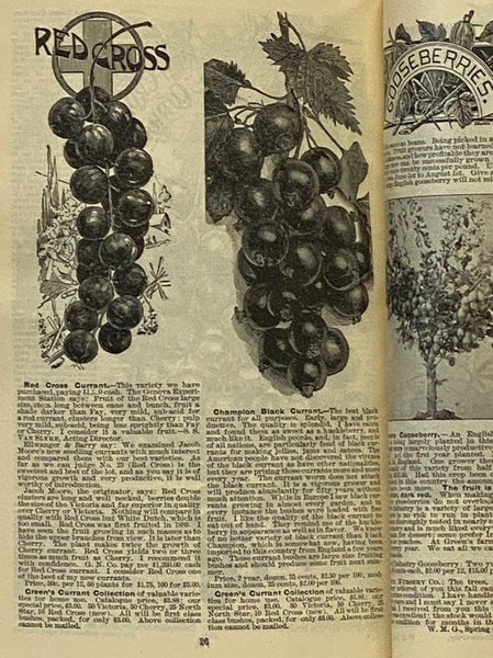 Green's Six Books: Devoted to Apple Culture, Pear Culture, Plum and Cherry Culture, Raspberry and Blackberry Culture, Grape Culture, Strawberry, Currant, Gooseberry and Persimmon Culture