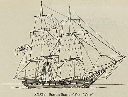 The Built-Up Ship Model