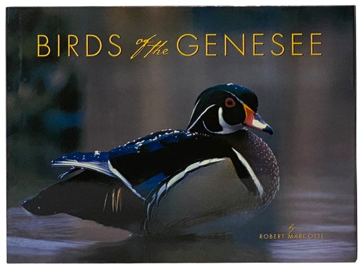 Birds of the Genesee and the Stories of Those Who Watch Them