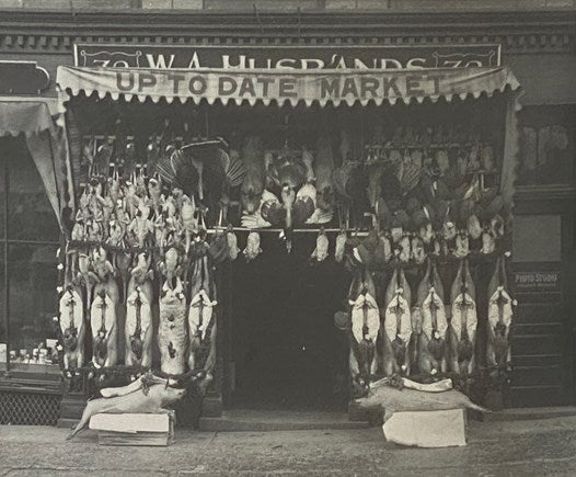 Canandaigua, 1850-1930: A Photographic History of the Village and the Lake