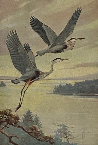 The Audubon Guide to Attracting Birds