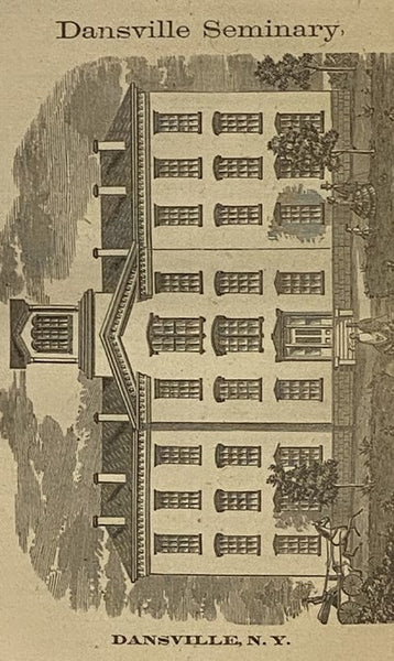 New Gazetteer and Business Directory, for Livingston County, N.Y., for 1868 [New York]