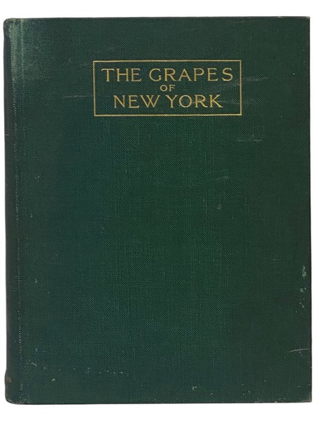 The Grapes of New York (Report of the New York Agricultural Experiment Station for the Year 1907, Volume II) (State of New York - Department of Agriculture Fifteen Annual Report, Vol. 3, Part II)