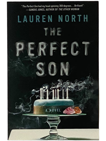 The Perfect Son: A Novel