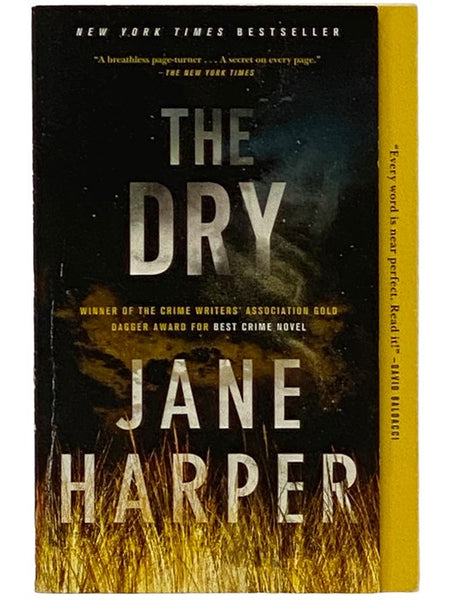 The Dry: A Novel