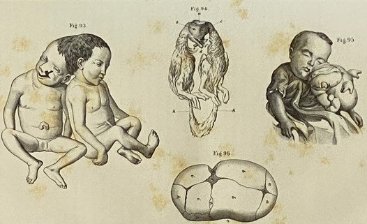 Transactions of the Medical Society of the State of New York, for the Year 1867.