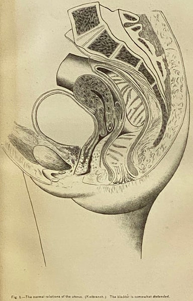 Transactions of the Medical Society of the State of New York, for the Year 1866.