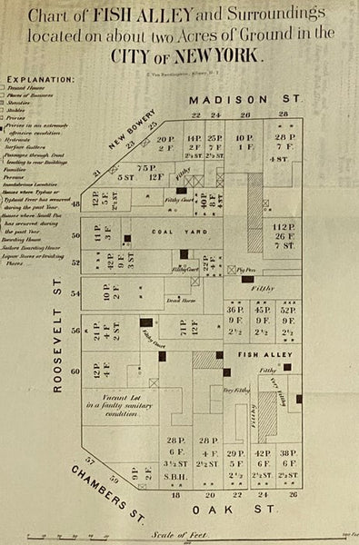 Transactions of the Medical Society of the State of New York, for the Year 1866.