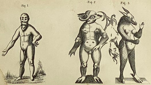 Transactions of the Medical Society of the State of New York, for the Year 1865.