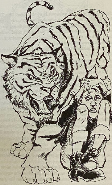 Glass Cat of Oz (Books of Wonder Series)
