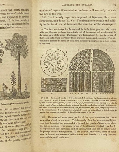 Class-Book of Botany, Designed for Colleges, Academies and Other Seminaries. In Two Parts: Part I. The Elements of Botanical Science. Part II. The Natural Orders. Illustrated by a Flora of the Northern, Middle and Western States. Particularly of the Unit…