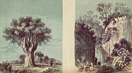 The Life, Travels, and Researches, of Baron Humboldt. with Continuation, Giving a Narrative of Humboldt's Celebrated Journey in Central Asia, etc., etc.