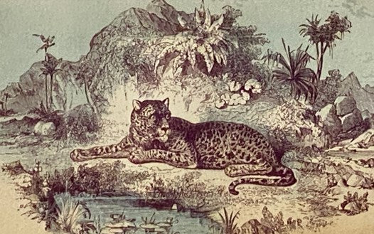 The Life, Travels, and Researches, of Baron Humboldt. with Continuation, Giving a Narrative of Humboldt's Celebrated Journey in Central Asia, etc., etc.