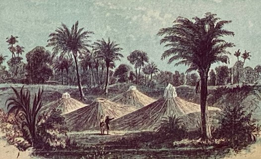 The Life, Travels, and Researches, of Baron Humboldt. with Continuation, Giving a Narrative of Humboldt's Celebrated Journey in Central Asia, etc., etc.
