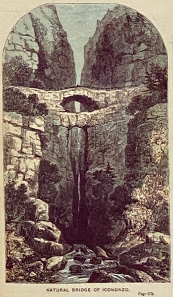 The Life, Travels, and Researches, of Baron Humboldt. with Continuation, Giving a Narrative of Humboldt's Celebrated Journey in Central Asia, etc., etc.