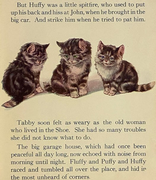 The Little Kitten That Would Not Wash Its Face
