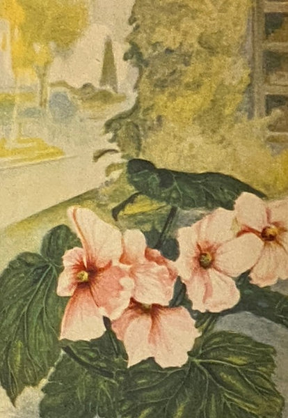 The Nature Library, in Six Volumes: Garden Flowers; Birds; Wildflowers; Animals; Trees; Butterflies
