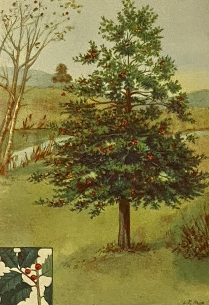 The Nature Library, in Six Volumes: Garden Flowers; Birds; Wildflowers; Animals; Trees; Butterflies