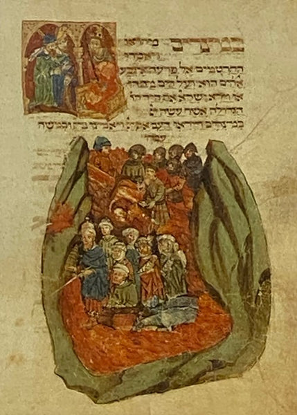 The Torah