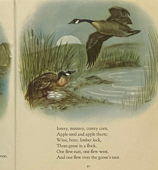 Mother Goose