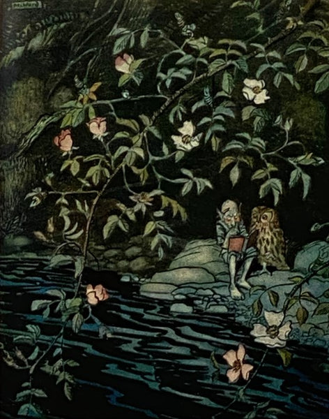 20th Century Children's Books [Twentieth]