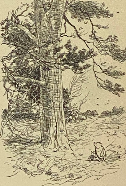 The House at Pooh Corner