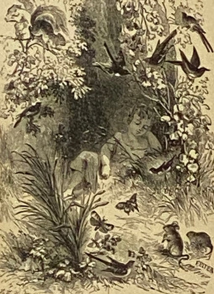 The Poetical Works of Elizabeth Barrett Browning. Complete Edition. Illustrated.