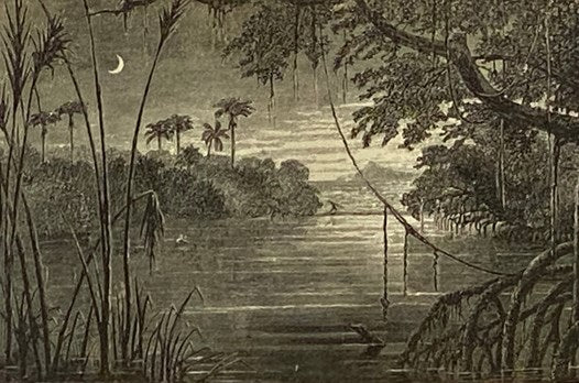 At Last: A Christmas in the West Indies. with Illustrations.
