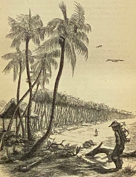 At Last: A Christmas in the West Indies. with Illustrations.