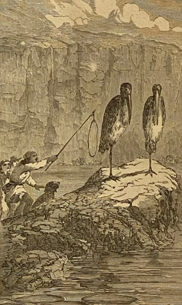 The Cliff-Climbers; or, The Lone Home in the Himalayas [Cliff Climbers]