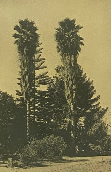 The Garden Book of California