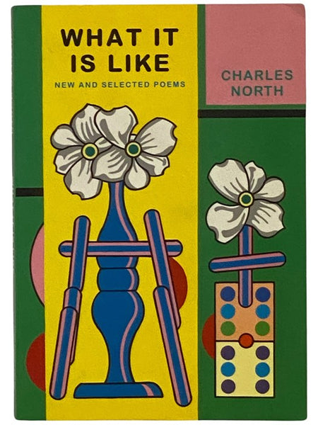What It Is Like: New and Selected Poems