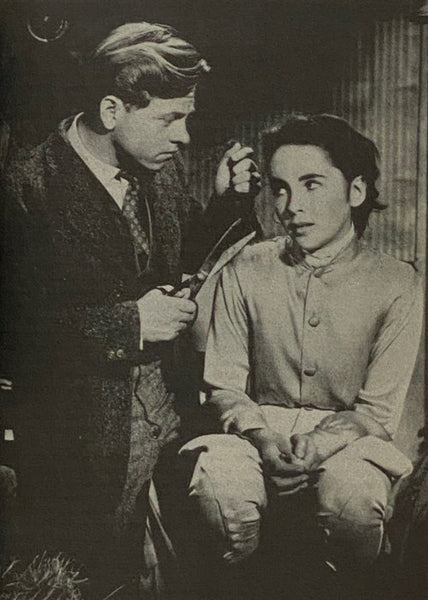 Frank Capra, George Cukor, Clarence Brown (The Hollywood Professionals Volume 6)