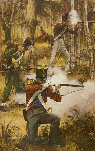 Napoleonic Wars, Napoleon's Army (Brassey's History of Uniforms)