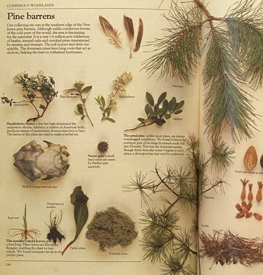 A Practical Guide for the Amateur Naturalist