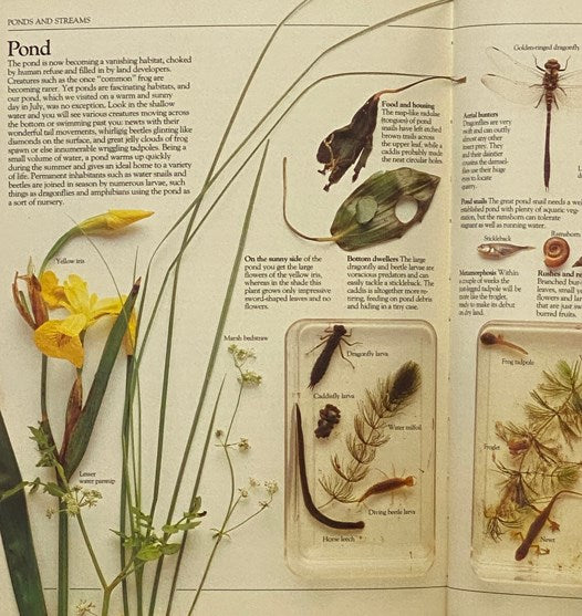 A Practical Guide for the Amateur Naturalist